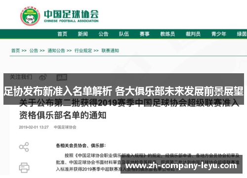 足协发布新准入名单解析 各大俱乐部未来发展前景展望