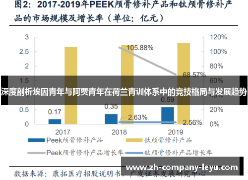 深度剖析埃因青年与阿贾青年在荷兰青训体系中的竞技格局与发展趋势 深度剖析埃因青年与阿贾青年在荷兰青训体系中的竞技格局与发展趋势