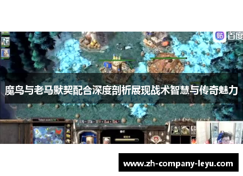 魔鸟与老马默契配合深度剖析展现战术智慧与传奇魅力