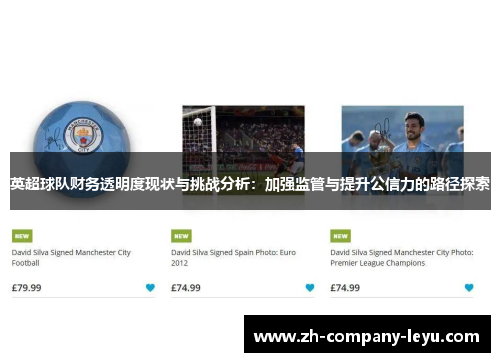 英超球队财务透明度现状与挑战分析：加强监管与提升公信力的路径探索